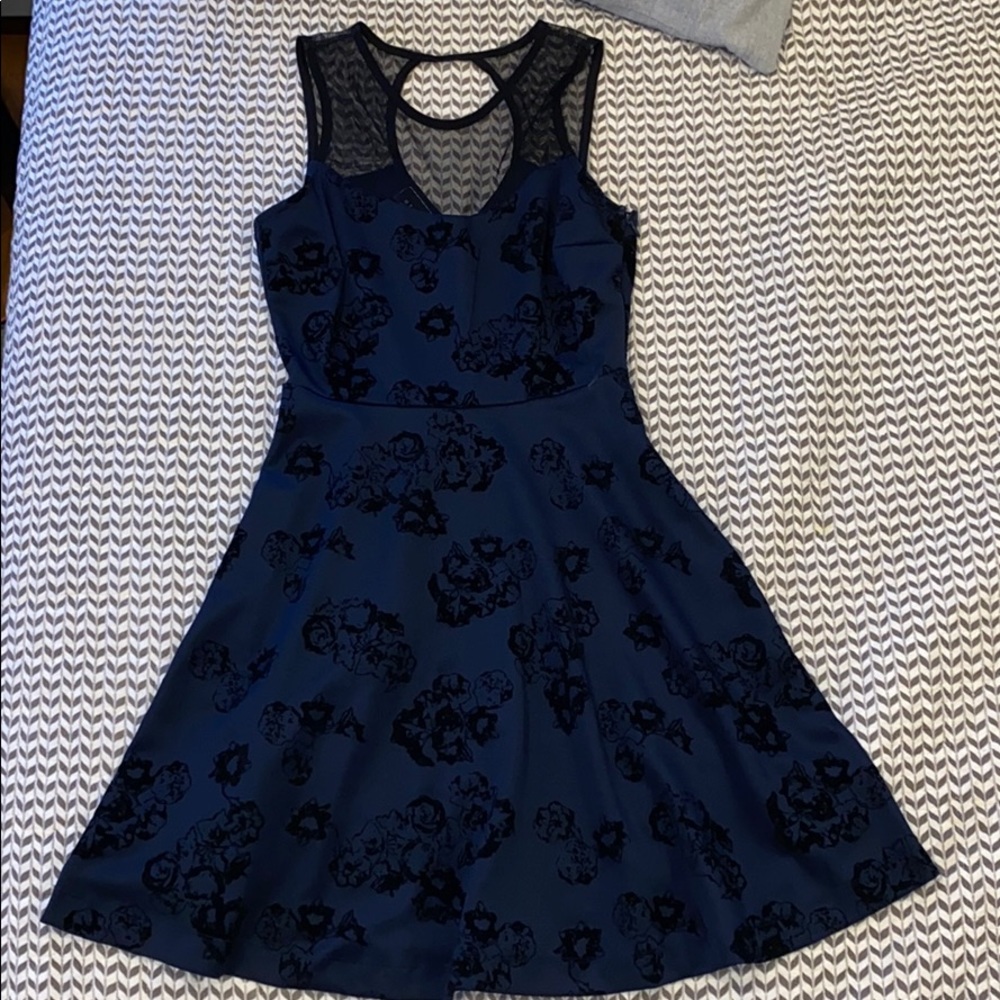 Metaphor Mesh & Velvet A-Line Dress